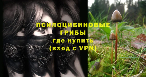 гашиш Карпинск