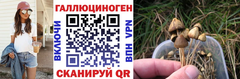 Псилоцибиновые грибы Psilocybine cubensis  Купить  Гуково 